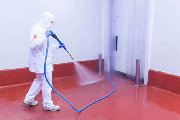Best Boat and Dock Cleaning  in Indian Head Park, IL